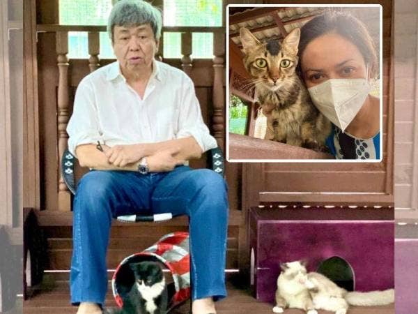 Sultan Sharafuddin sering meluangkan masa bersama kucing terbiar yang kini diambil untuk dipelihara di kawasan kediaman baginda. Gambar kecil: Jocopo antara kucing yang diselamatkan oleh Tengku Permaisuri Norashikin. - Foto FB Selangor Royal Office
