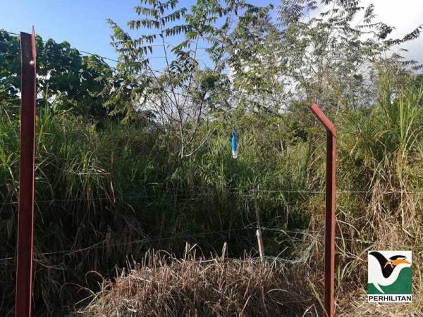 Lampu LED berwarna biru turut dipasang bertujuan menakutkan gajah. - Foto Facebook Perhilitan