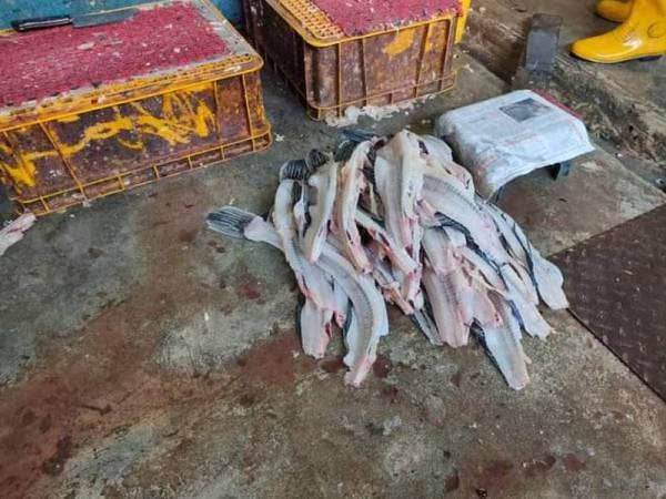 Keadaan di premis berkenaan yang beroperasi dalam keadaan kotor dan menjijikan. - Foto Facebook DBKL