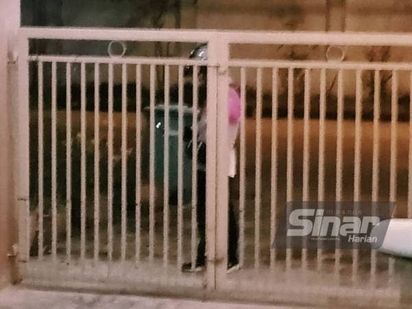 Mohd Zamrul menunggu di luar rumah sebelum adik kepada Mohammad Jumardi tiba untuk menangkap ular berkenaan.