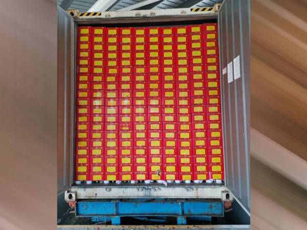 Limau mandarin dari China yang tidak mempunyai sijil 3P Fama dirampas Maqis ketika pemeriksaan di Pelabuhan Tanjung Pelepas, pada Selasa.