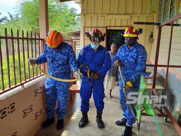 Anggota APM berjaya menangkap tiga ular rusuk kerbau yang berada di bawah tong gas sebuah stor rumah pada Rabu.