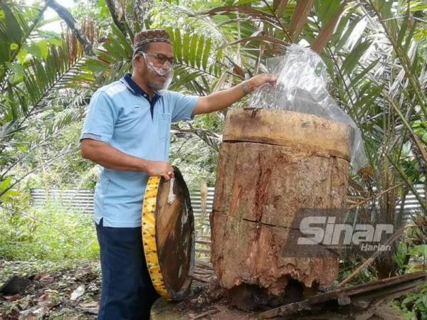 Ali menunjukkan sarang madu kelulutnya yang dirosakkan beruang.
