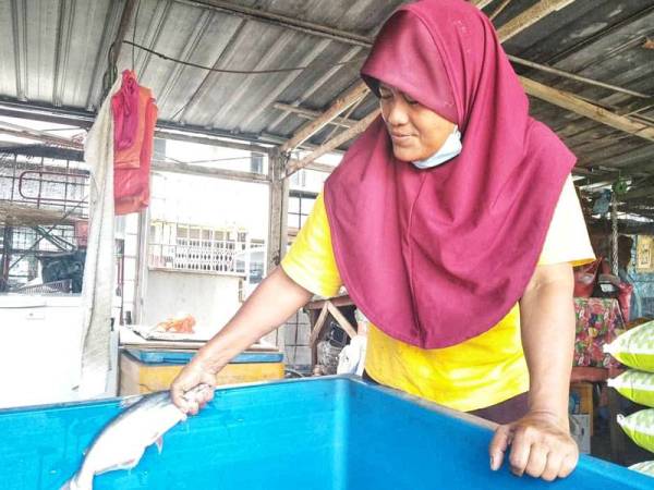 Manisah akui terpaksa menaikkan harga runcit patin di gerai miliknya di Temerloh.