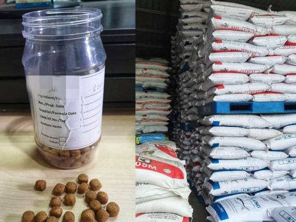 Harga palet ikan yang meningkat hingga RM3 bermula minggu ini. Kenaikan harga palet ikan pelbagai jenama menyebabkan pengusaha berdepan kesulitan mengekalkan harga sedia ada.