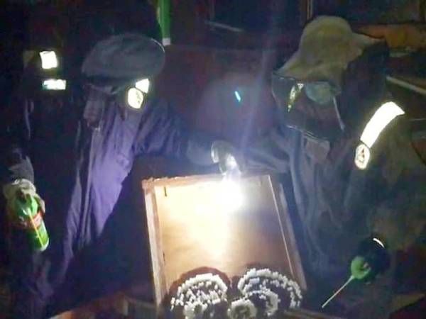 Anggota APM Pasir Puteh berdepan detik cemas dikerumuni ribuan ekor tebuan ketika proses memusnahkan sarang serangga berbisa itu di sebuah sekolah.