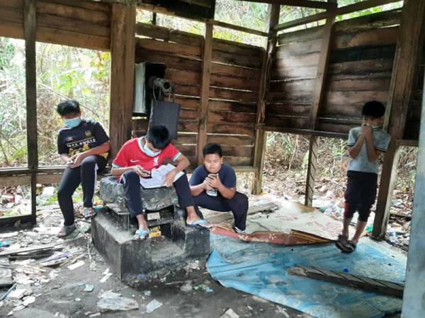 Bagi mendapatkan capaian internet, pelajar terpaksa belajar di pondok usang dalam kebun sawit.