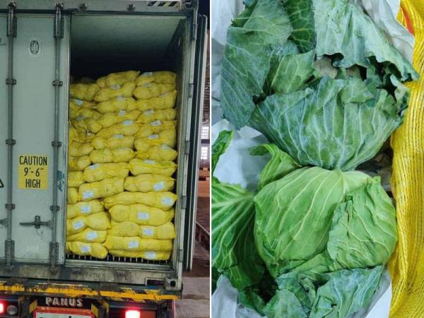 Maqis merampas kobis yang cuba dibawa masuk di Kompleks ICQS, Bukit Kayu Hitam pada Selasa.