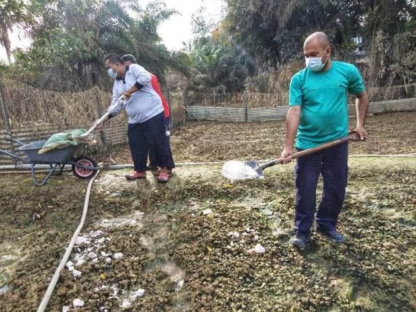 Gotong-royong yang dilakukan oleh kakitangan Pejabat Pertanian Temerloh