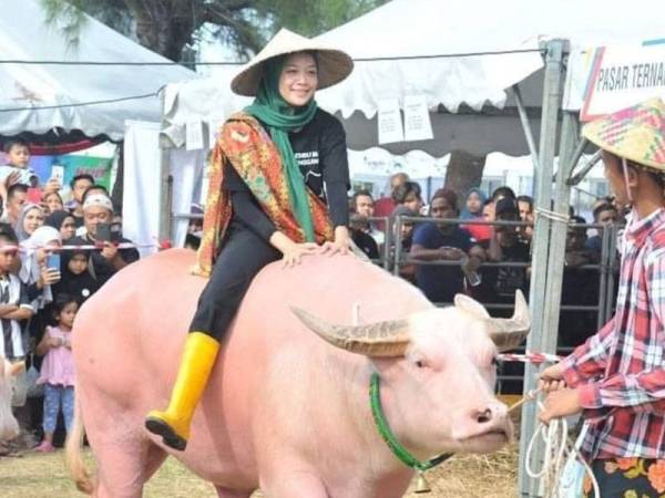 Awang juga dibawa ke ekspo pertanian kerana keunikannya. Foto Ihsan Nadia
