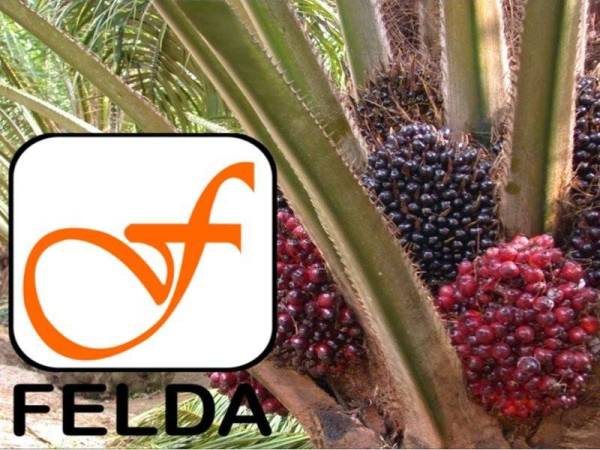 Tarikh tutup penerimaan tawaran pengambilalihan oleh Felda untuk memperoleh baki pegangan dalam FGV Holdings Bhd telah dilanjutkan lagi sehingga 2 Mac.