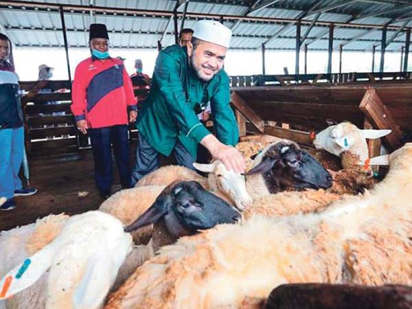 Pengerusi LPP, Dr. Nik Muhammad Zawawi Salleh mengadakan lawatan ke Projek Usahawan PPK Kuala Langat yang mendapat bantuan pinjaman Tabung Pembangunan Usahaniaga Peladang (TPUP).