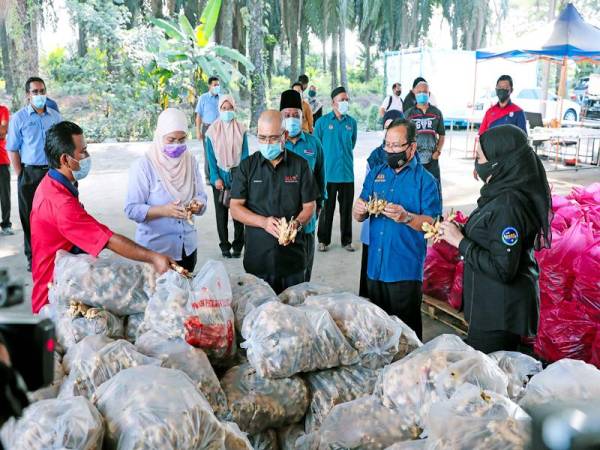 Menteri Pertanian dan Industri Makanan, Datuk Seri Dr Ronald Kiandee (tiga dari kiri) dan Timbalan Menteri 1 MAFI, Datuk Seri Ahmad Hamzah (dua dari kanan) melakukan tinjauan ke PPHP Kuala Langat dan Pasar Segar Terkawal yang membantu ahli peladang memasarkan hasil mereka.