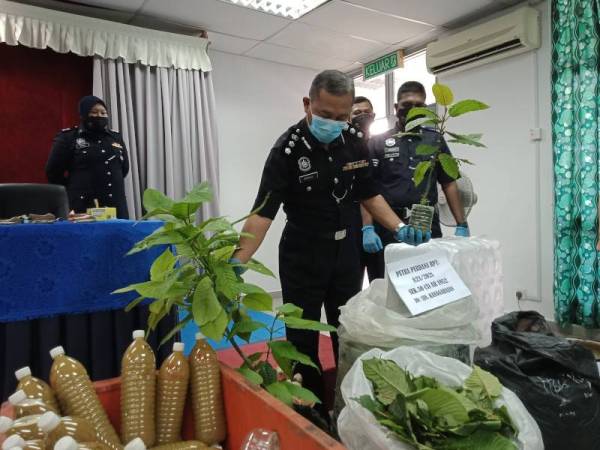 Wan Kamarul Azran menunjukkan daun dan pokok ketum yang dirampas dalam sidang media di IPD Sepang pada Rabu.