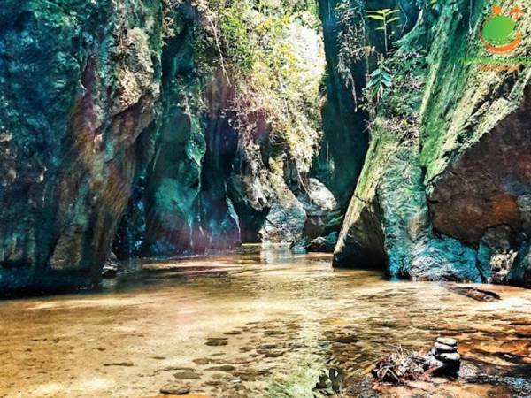 Semua kawasan Taman Eko Rimba, Taman Negeri, laluan pendakian dan aktiviti bagi tujuan rekreasi serta treking di Hutan Simpanan Kekal Negeri Sembilan kembali dibuka kepada pengunjung bermula Sabtu. - Foto Portal rasmi kerajaan Negeri Sembilan