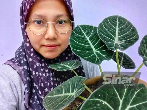 Hobi Nozihan sejak remaja kini menjadi pendapatan tambahan buat dirinya