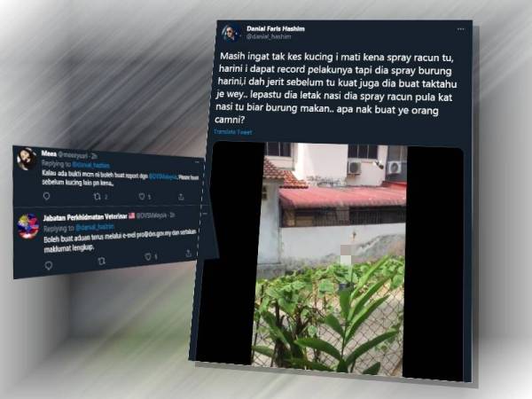 Warga maya turut memaklumkan perkara itu kepada Jabatan Veterinar. Paparan Twitter Daniel berhubung kejadian itu tular di laman sosial.