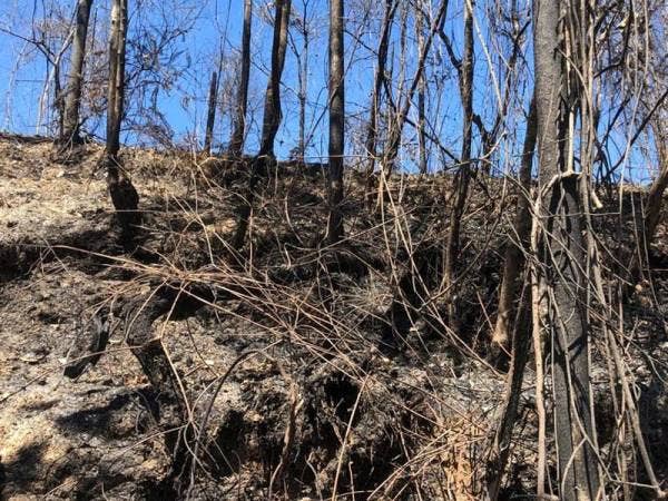 Keadaan kebakaran hutan di Kampung Sindu, Jalan Cameron Highlands-Simpang Pulai yang berjaya dipadamkan sepenuhnya pada Sabtu.