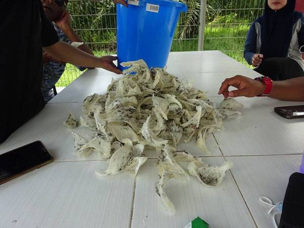 Sarang burung walit memberi pulangan lumayan menerusi projek ternakan burung walit berkelompok di Kampung Belukar Durian.