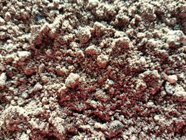 Serbuk kelapa sawit yang digunakan dalam penghasilan makanan ternakan.