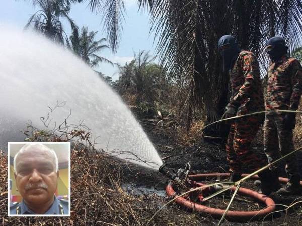 Dua anggota bomba yang sedang memadam kebakaran belukar dan ladang kelapa sawit di Kampung Bukit Durian, Serkam baru-baru ini. Gambar kecil: Abu Obaidat Mohamad