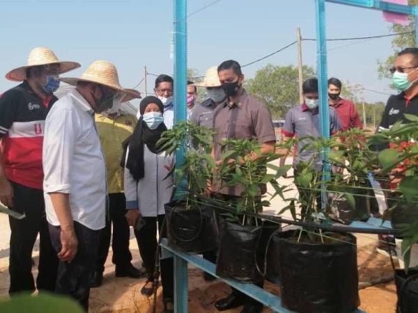 Pengurus projek fertigasi cili KUPD, Salina Haris (tiga dari kiri) menerangkan mengenai teknik tuaian cili kepada Anwar, disaksikan Amir Hamzah (kanan) dan Jamal (kiri) di tapak ladang projek fertigasi cili di Port Dickson pada Rabu.
