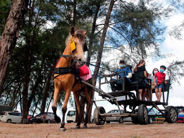 Pengunjung menaiki kereta kuda yang menjadi salah satu tarikan di Pantai Kempadang ketika tinjauan hari ini.