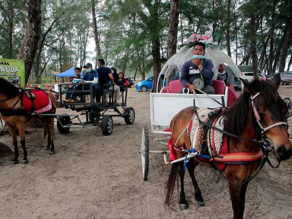 Pengunjung menaiki kereta kuda yang menjadi salah satu tarikan di Pantai Kempadang ketika tinjauan hari ini.