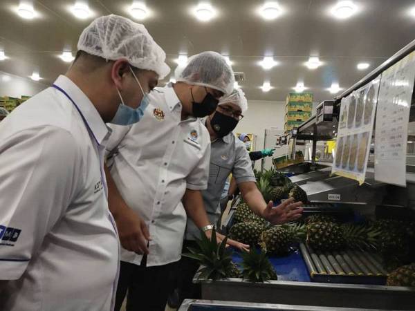 Dr Sahruddin (tengah) meninjau operasi kilang pembungkusan nanas milik RIPI.