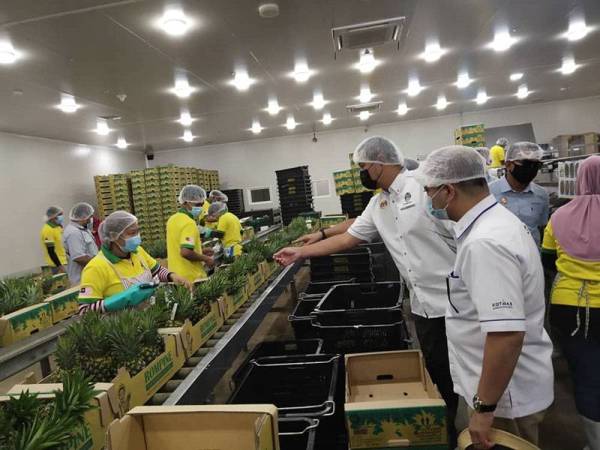 Sahruddin (dua dari kanan) meninjau operasi kilang pembungkusan nanas milik RIPI sempena lawatan kerja beliau ke RIPP, Kampung Tanam, Kuala Rompin, Rompin pada Selasa.