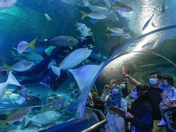 Seorang penyelam di Aquaria KLCC dilihat memberi makan kepada ikan-ikan di dalam akuarium ketika tinjauan di sekitar kawasan pelancongan di Kuala Lumpur hari ini.