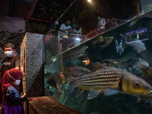 Keadaan semasa di sekitar tempat tumpuan pelancong di Aquaria, KLCC dilihat meriah dengan kehadiran orang ramai walaupun pada hari bekerja ketika tinjauan di sekitar kawasan pelancongan di Kuala Lumpur hari ini.