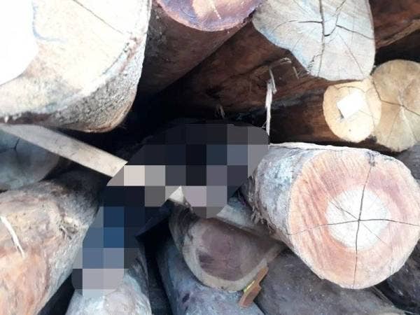 Seorang pekerja terselit dan terperangkap dalam longgokan kayu balak di sebuah kilang di Batu 5, Jalan Mersing-Kluang, Kluang pada Isnin.