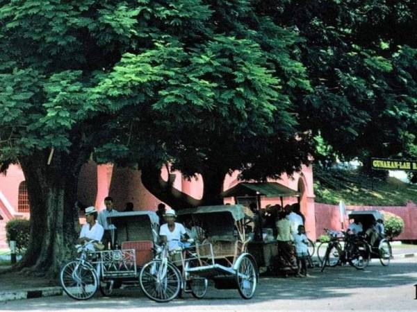 Beberapa pengayuh beca berada di bawah pokok warisan berkenaan di hadapan jam besar berhampiran Bangunan Merah Stadthuys, Banda Hilir. - Foto K Henderson