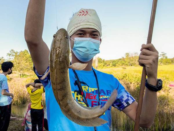Azreen Ab. Manah, 27, menunjukkan ikan haruan yang berjaya ditangkap pada pertandingan memancing secara tradisional di tali air sawah kampung Bukit Kechik, Melor di sini.