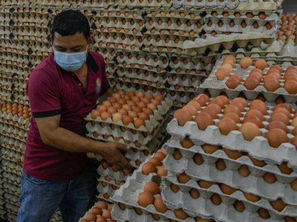 Seorang pekerja runcit sedang menyusun telur ketika tinjauan di sebuah kedai runcit di sekitar kota berikutan Singapura menarik balik telur yang diimport dari sebuah lagi ladang di Malaysia selepas mengesan kehadiran bakteria Salmonella Enteritidis (SE), Agensi Makanan Singapura (SFA) dalam hantaran Facebook yang dikemas kini memaklumkan telur yang terbabit mempunyai cetakan kod 'CEM014'. - Foto Bernama