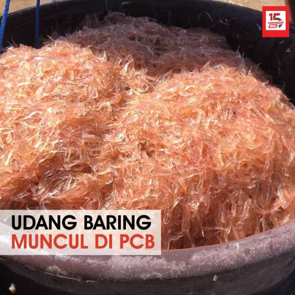 cover-udang