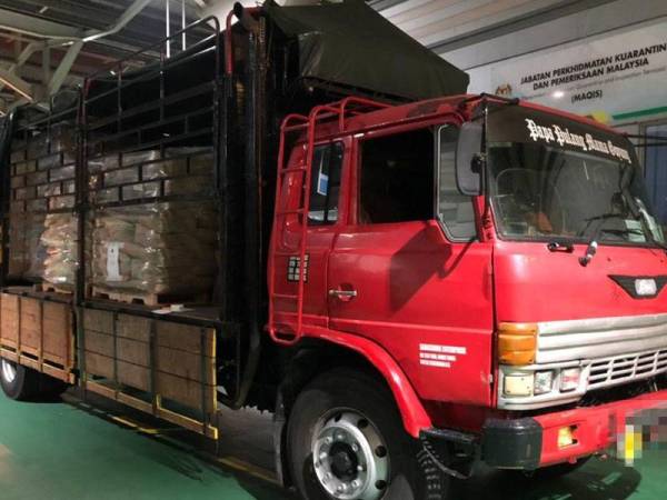 Lori yang membawa muatan 'trucal milk calcium' ditahan Maqis di laluan kargo import Maqis Bangunan Sultan Iskandar, petang Khamis. - Foto: Ihsan Maqis