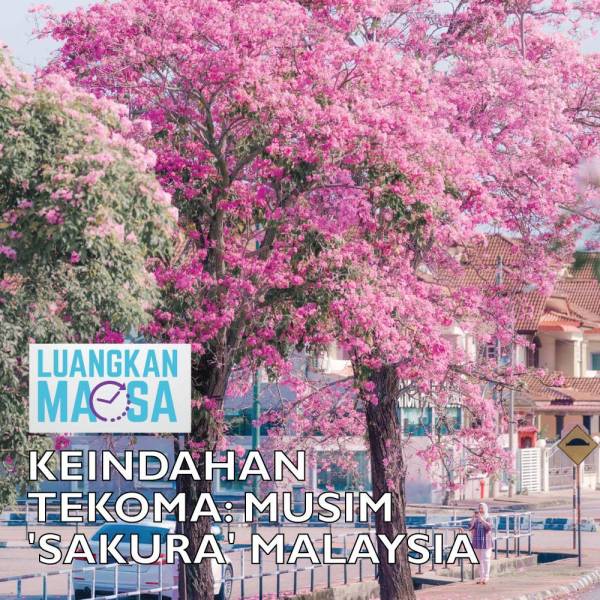 THUMBNAIL-LUANGKAN-TEKOMA