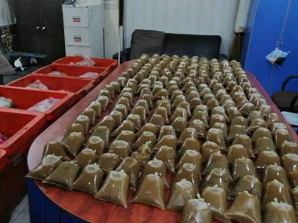 Enam tong ais berisi 1,110 bungkusan dipercayai air ketum dirampas dalam serbuan yang dijalankan di sebuah premis di Jalan Seksyen 2/15 Kajang Utama pada Sabtu.
