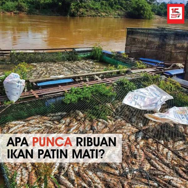 cover-ikan