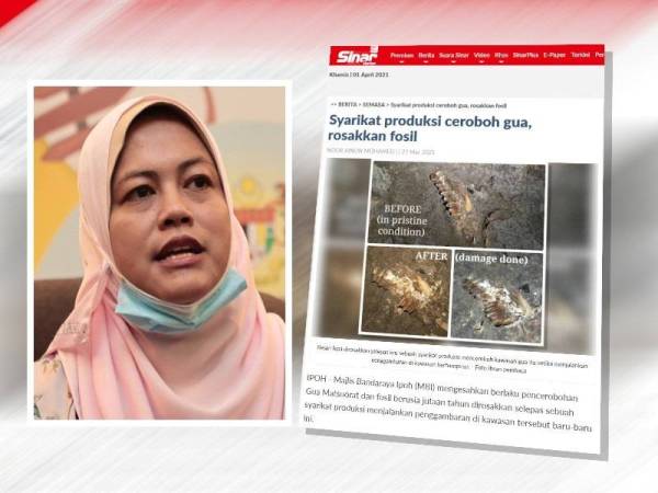 Nolee Ashilin, Laporan Sinar Harian berhubung kerosakan pada fosil dan bahagian dinding di Gua Matsoorat.
