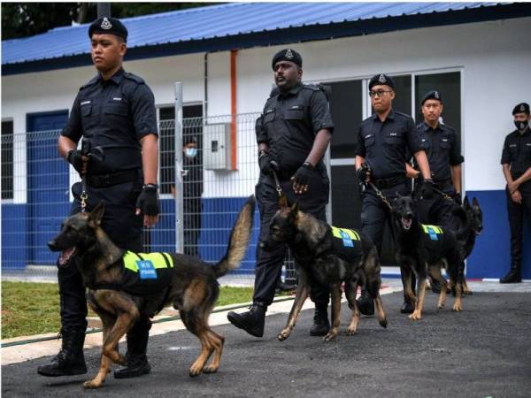 Anggota PDRM dari Unit K9 melakukan demostrasi pada gimik perasmian Seksyen K9 Pulau Langkawi Bahagian Bantuan Teknik D6 CID PDRM yang dirasmikan Abdul Hamid pada Ahad.