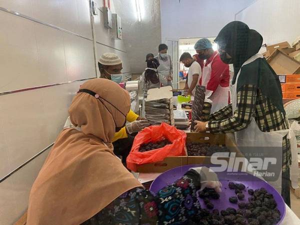 Proses pemilihan dan pembungkusan kurma Ajwa di Andalusia Food Industries Sdn Bhd.