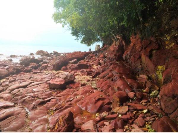 Batu kawi berwarna merah di pesisiran pantai Pulau Songsong yang terhasil akibat rekahan kerak bumi.
