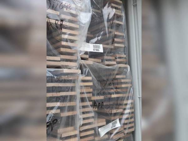 Kayu jenis swan timber dari Australia dan Hungary dirampas selepas gagal mematuhi syarat permit import.