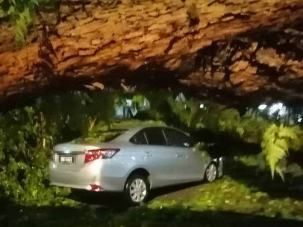 Antara kenderaan yang dihempap pokok tumbang di sekitar Jalan Perkasa pada petang Isnin.