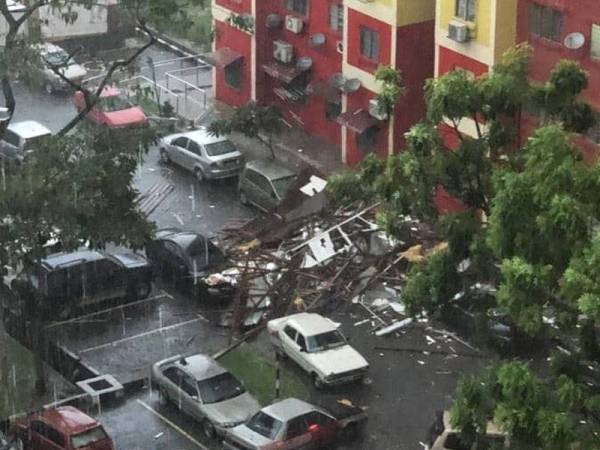 Laporan pokok tumbang dikongsikan oleh JBPM pada petang Isnin.