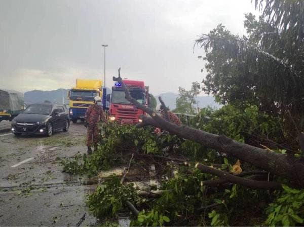 Keadaan pokok tumbang yang merintangi laluan menyebabkan kesesakan agak teruk di beberapa kawasan sekitar bandar raya Ipoh, petang Rabu.