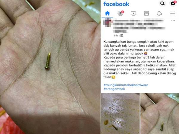 Noor Syarina menjumpai sebatang paku dalam martabak yang dijamah yang disangkakan jari kaki ayam. Hantaran Syarina dalam Facebook berkenaan paku yang ditemui dalam martabak yang dia jamah.